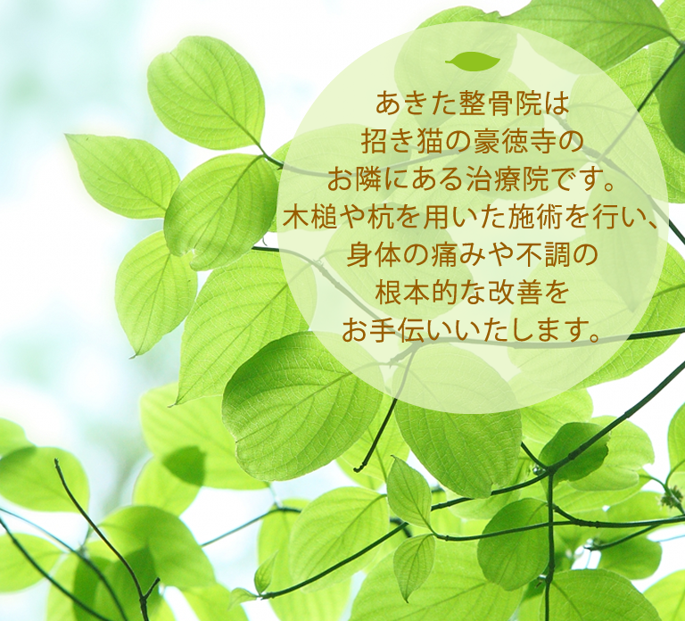 豪徳寺あきた整骨院