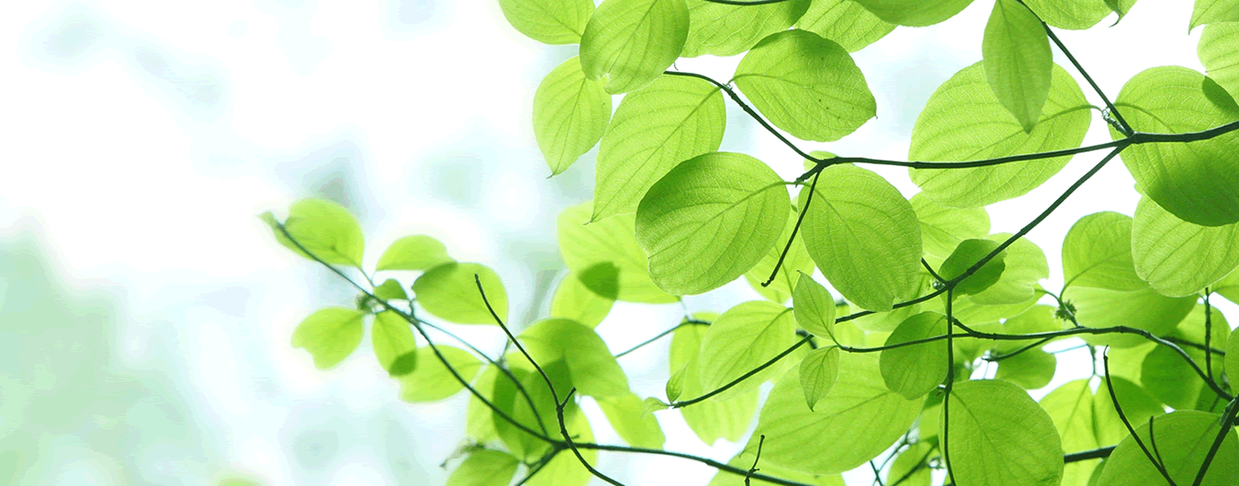 豪徳寺あきた整骨院